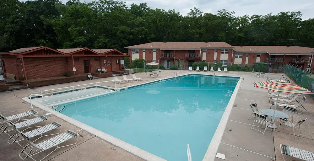 Tov Manor — Photo 3