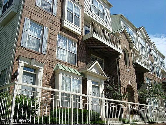 1st image of 4105 Lexington Ct APT 102