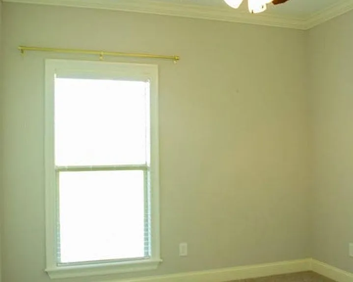 216 Buttonwood Ln — Photo 18