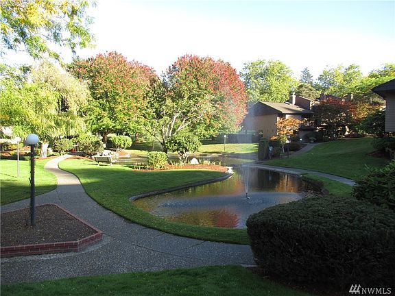 Caught our famous duck pond on a gorgeous fall day. Fountain flowing.