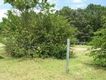 Photo of Mobile Home Lot