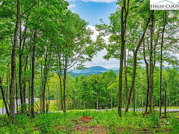 3rd image of Lot 24 Poplar Forest Drive