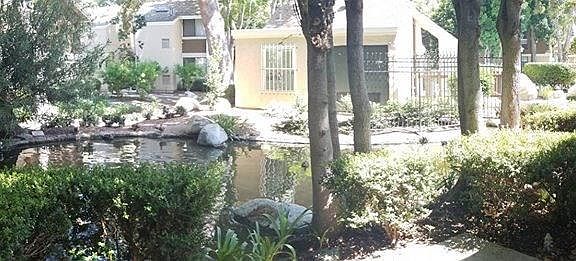 View from relaxing & spacious patio