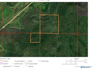 W Highway 35, Woodville, AL 35776