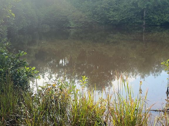 5th image of County Road 393