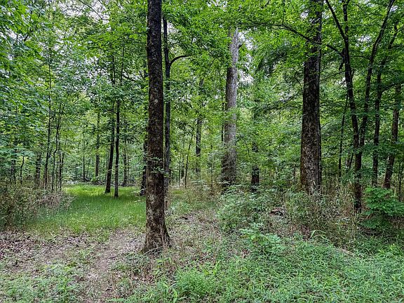 Compass South Land Sales Louisiana Overflow Creek 2 5