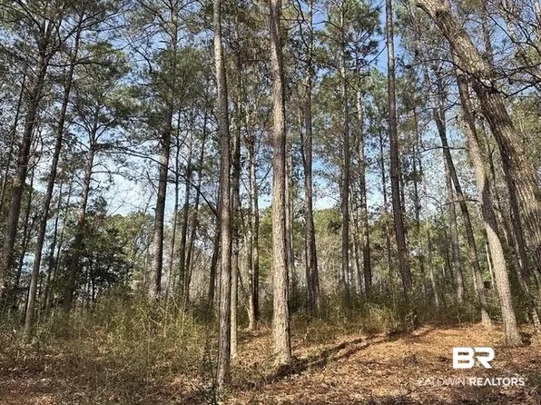 21&22 Flat Creek Dr, Bay Minette, AL 36507