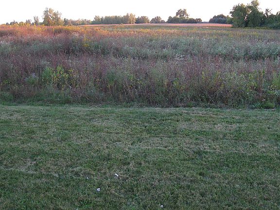 Backs to Forever Wild