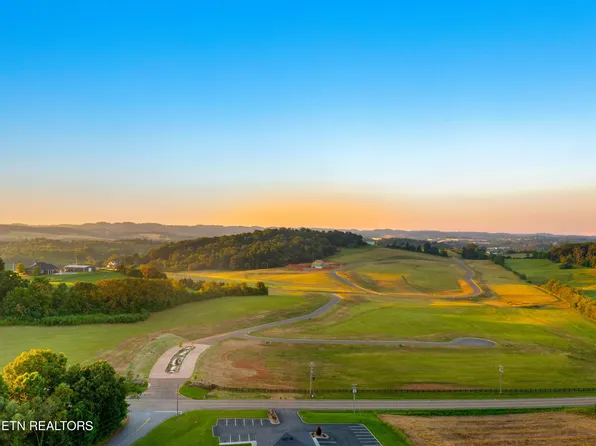 4 Pine Meadows Dr, White Pine, TN 37890