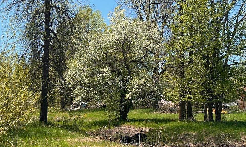 22207 Hines Rd NE, Hines, MN 56647 MLS 6377372 Zillow