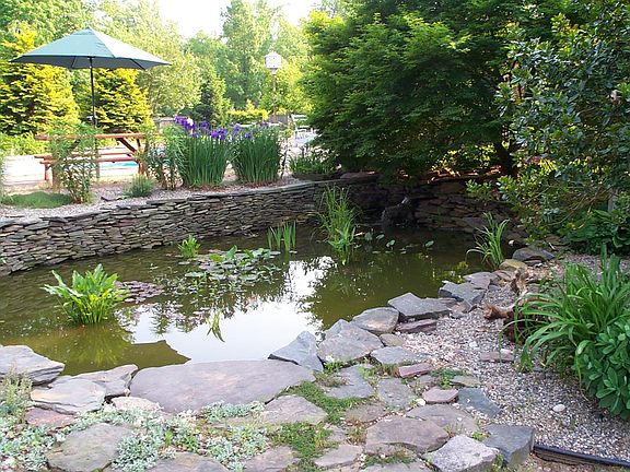 Pond
