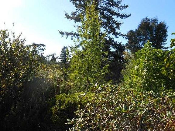 View of greenbelt behind home