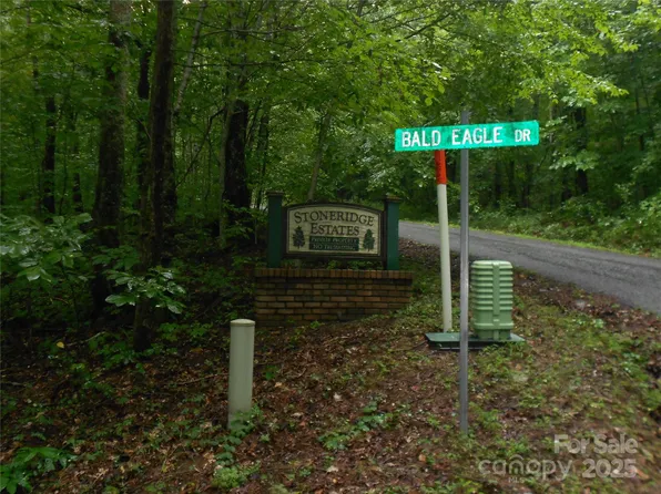 Bald Eagle Dr, Hendersonville, NC 28792