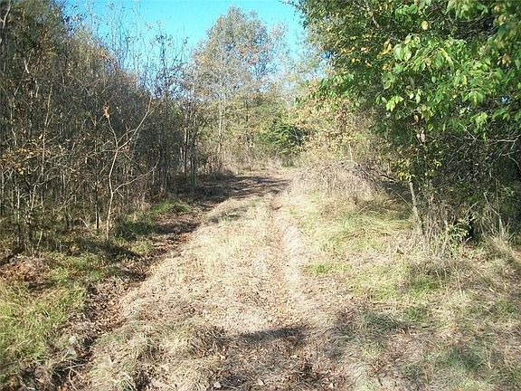 4th image of 2016 County Road 1345