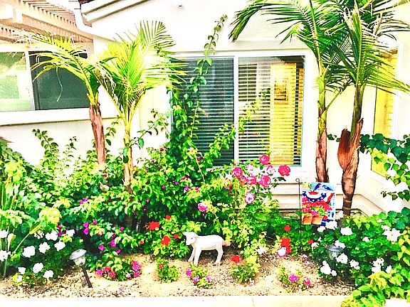 Lush Landscaping 