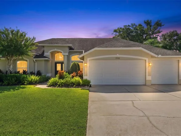 17322 HUBERS COURT, ODESSA, FL 33556