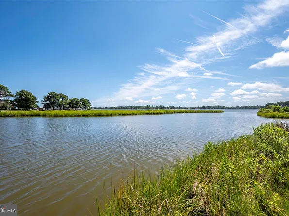 12321 Vivian St, Bishopville, MD 21813