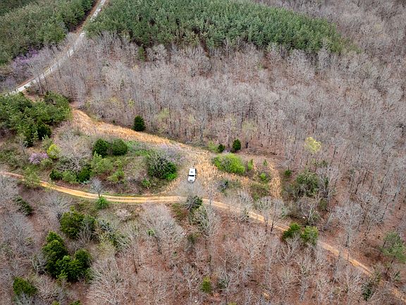 5th image of 8072 Old Hohenwald Rd