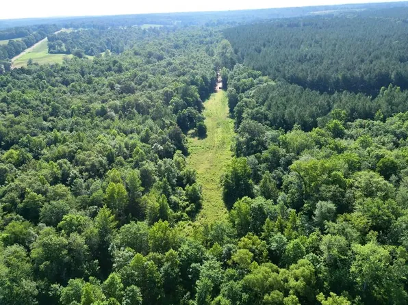 145 County Road 3338, Brundidge, AL 36010