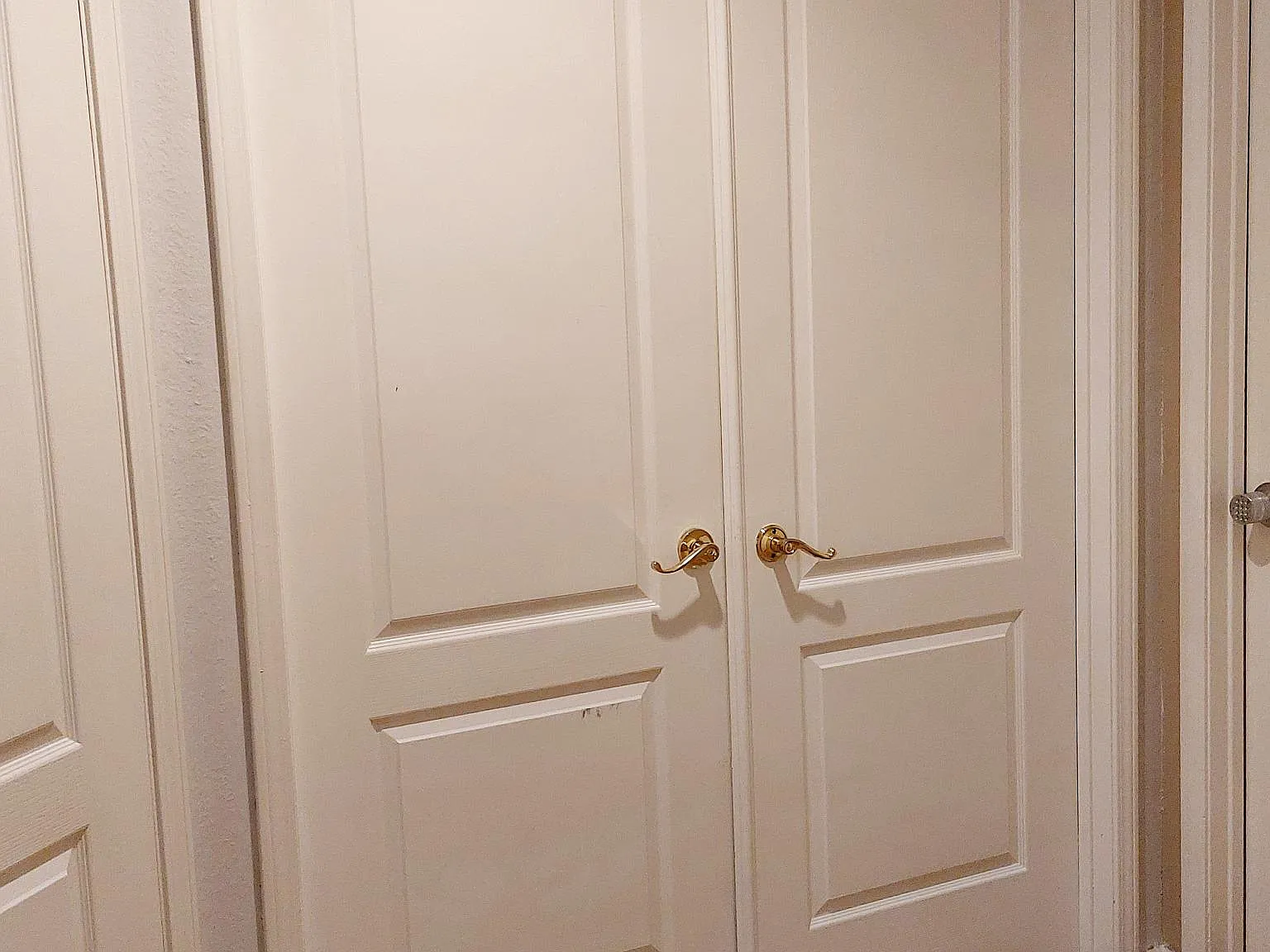 1 bed, 2975 sqft, $1,350 — Photo 2