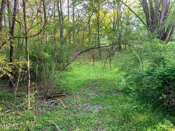 3rd image of Pine Hill Dr