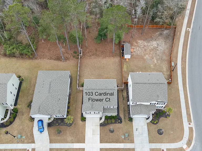 103 Cardinal Flower Ct — Photo 32