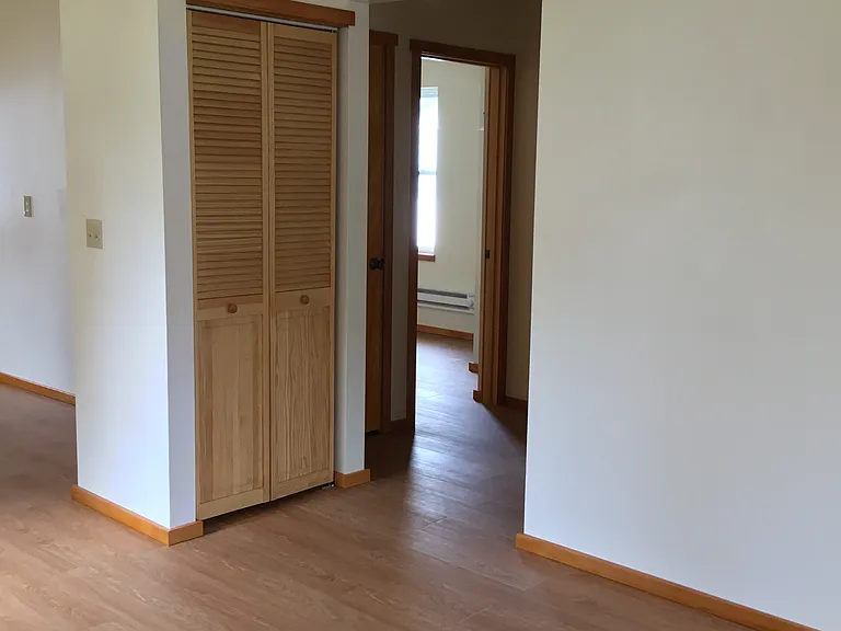 Closet storage in living room