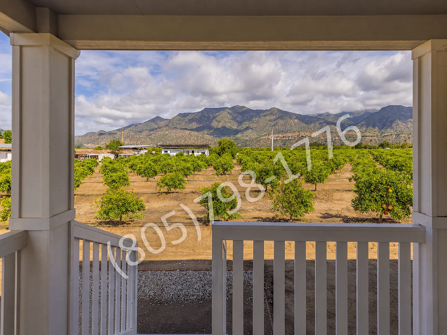 3 bed, 1200 sqft, $4,200 — Photo 4