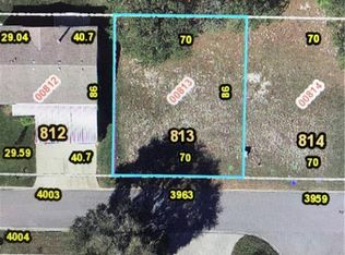 3963 Greenbluff Rd #813, Zellwood, FL 32798