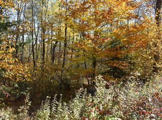 N13359 Limberg Ln, Athelstane, WI 54104