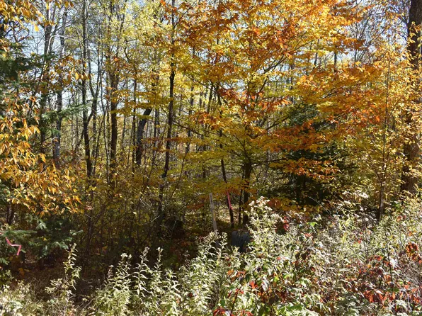 N13359 Limberg Ln, Athelstane, WI 54104