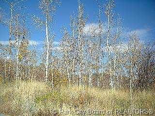 5th image of 29 Iron Mountain Dr #29