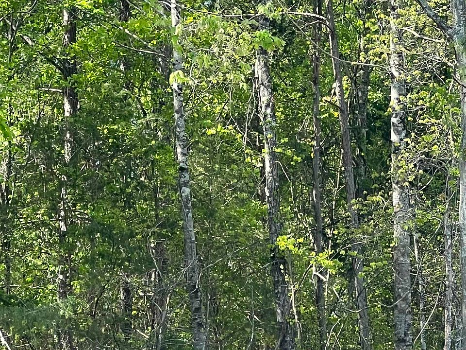 1st image of 0 Woodfin Rd