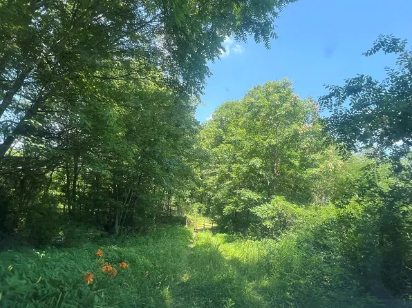 130 Earl Gooch Rd, Lancing, TN 37770