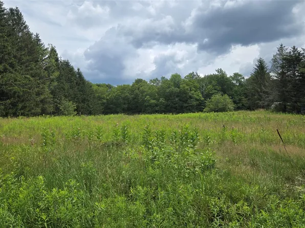 Old White Lake Turnpike, Bethel, NY 12720