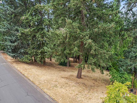 4th image of Suncrest Ave