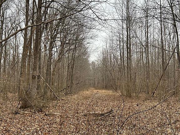 4th image of Highway T Forest Rd #3697