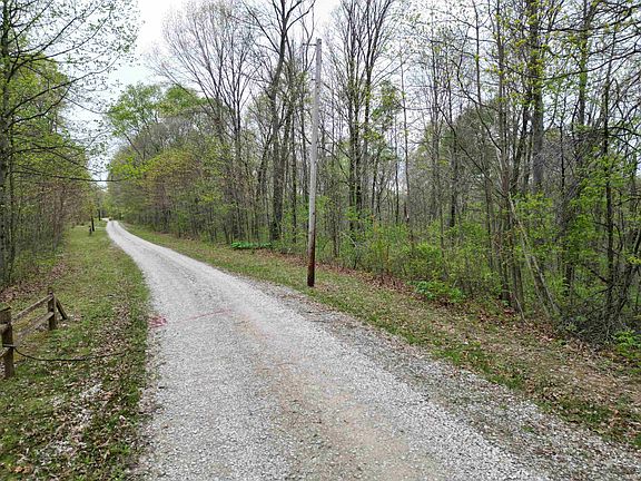 3rd image of TRACT 5 E Pine Rd
