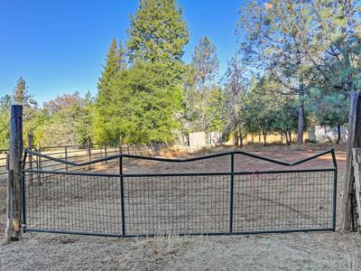 19677 Shake Ridge Rd, Volcano, CA, 95689