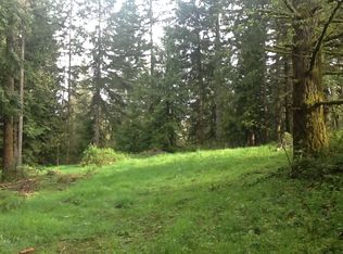 NE 192nd Ave, Brush Prairie, WA 98606