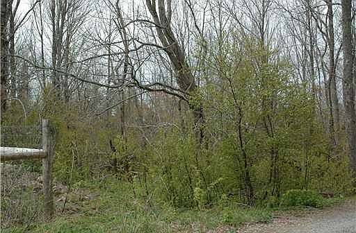 2nd image of 0 Glendon Way