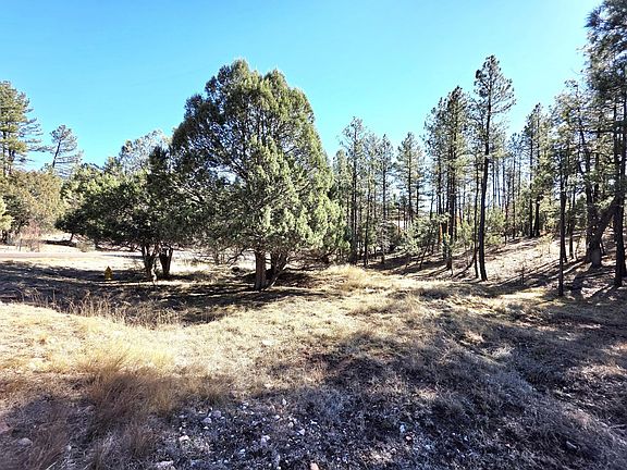 3rd image of 122 S Hunter Creek Dr