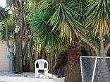 1st image of 1508 Deer Creek Ln
