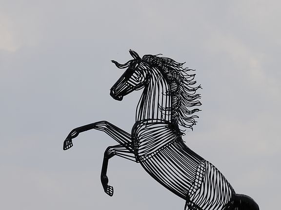 The Black greets you home