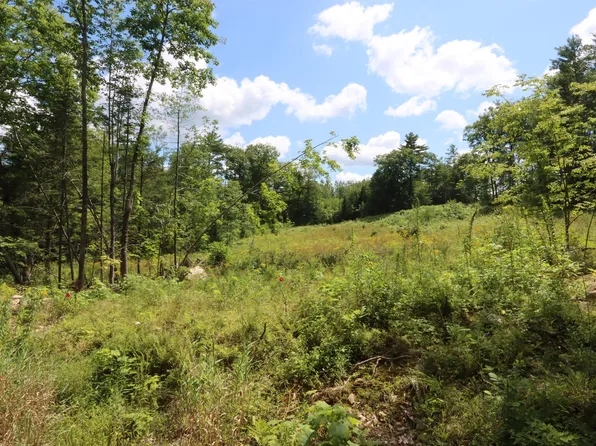 Lot 13-1 Wiley Road, Greene, ME 04236