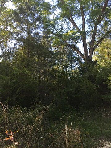 1st image of A1 Lowman Loop