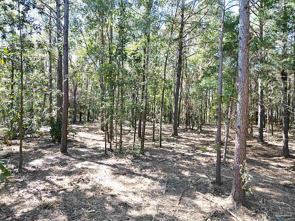 4th image of LOT 4 Rockaway Creek Rd