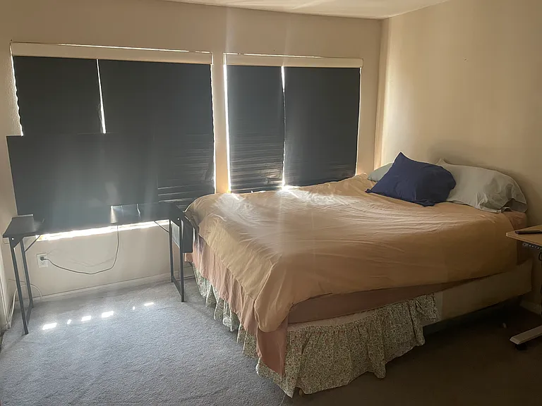 5249 Colodny Dr #D1 — Photo 1