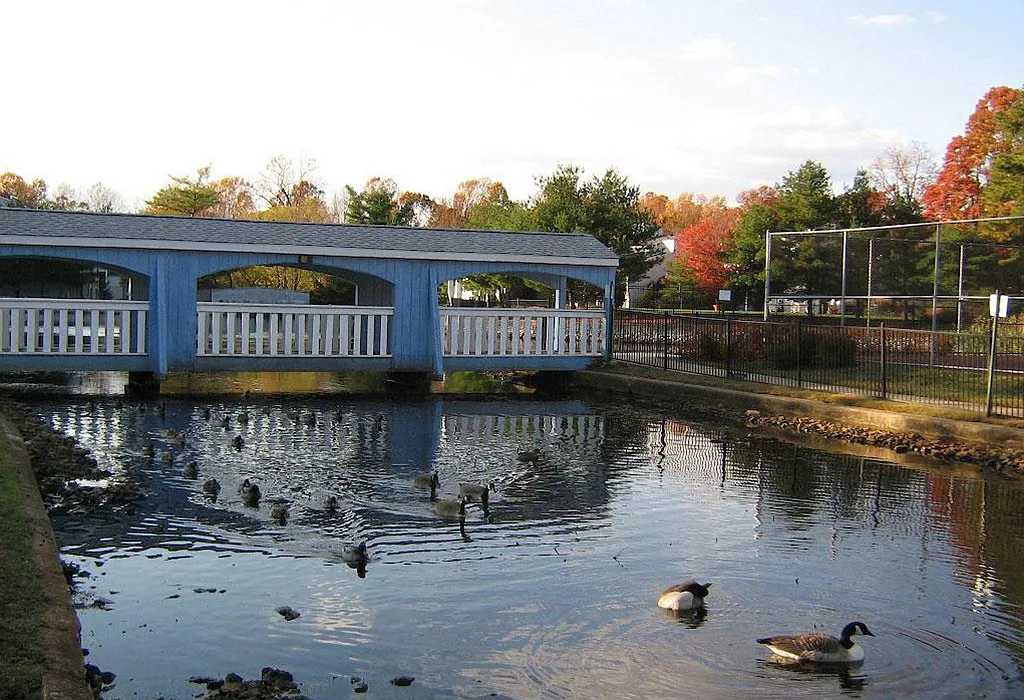 The Landings at Pine Lake — Photo 1