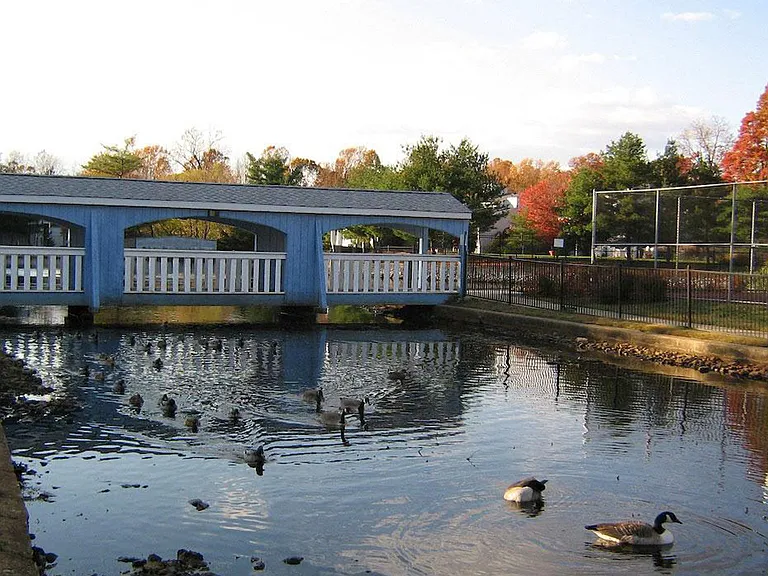The Landings at Pine Lake — Photo 1
